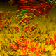 55535337762099275643329193685557721341562274790884187298260800931658683383809