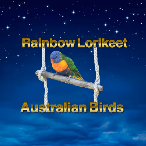 Item #13847091165139886550548507913753860487299745276601432995432972246394853140240 Media