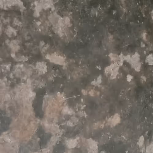 Untitled Collection #199018534