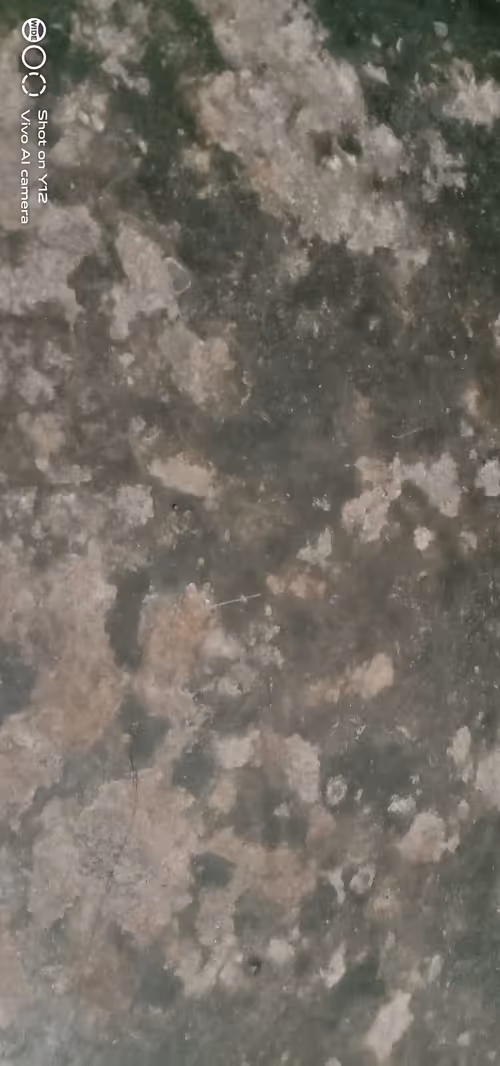 Item #98352184251896316778281835761737788373876944289736095726701183841699782197249 Media