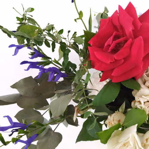 Item #87003207589931118822218281437448867168500866218263883081320957850619033419777 Media