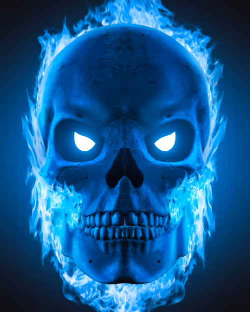 Item #52845867186500810491865689587219812927101614382899407788144963178625769668609 Media