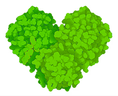 Item #96505329450513800617306197317128474049008904938211673216503687716521237282836 Media