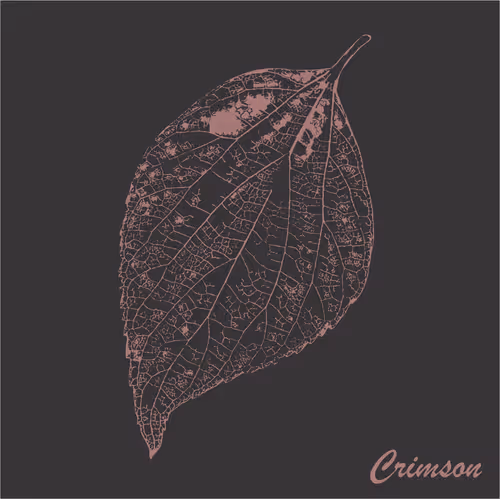 Item #40167138637940562108431742001123872206105593199433866487640627814277069144065 Media