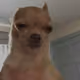 27234824487803958324427286159278413103906717032324582562624179358906328285185