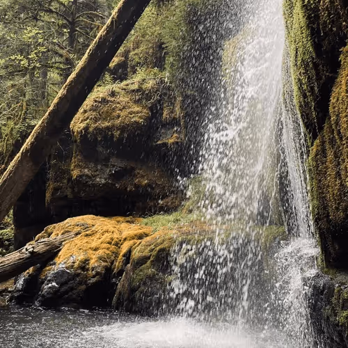 2005862319158051831365229387864138466486092287762213337058068745017794494465