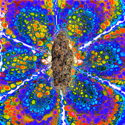 13955282856406335165414100891374623718709547313428947888299034049515299536897