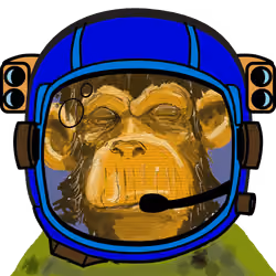 Space Monkey