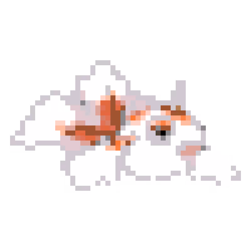 Item #79715806535832184777121594862046856569966024864978841769081258518316681527297 Media