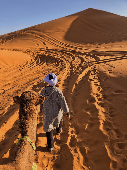 Item #93830154749716828743189394617161105712765095848897900338139654618330576191489 Media