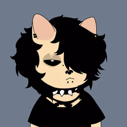Rocker Miaw #3