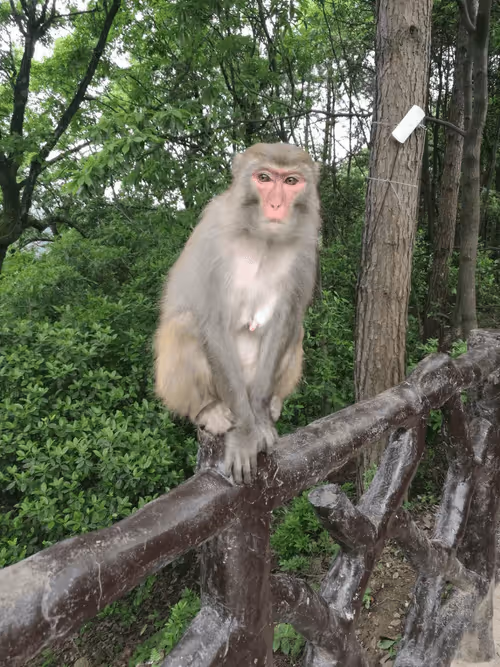 Item #68992994871678840230737782920192836034454221596587270053419323751573168848897 Media