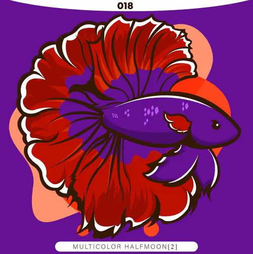 Item #71915282176282174012632358448723633474544225318645324977784202302094787477505 Media