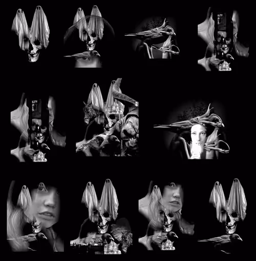 Item #85043563857425734787029872858228068518532895461354812368453176810996152401921 Media