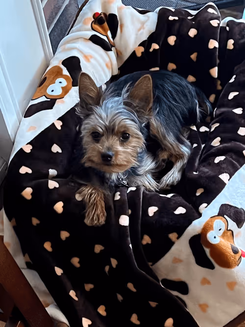 Item #88066140528539479869456014744410398514327997074780151392509103643238567247873 Media