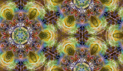 Item #63840338084273973421502504129764597504412767775251696444338063352743040385124 Media