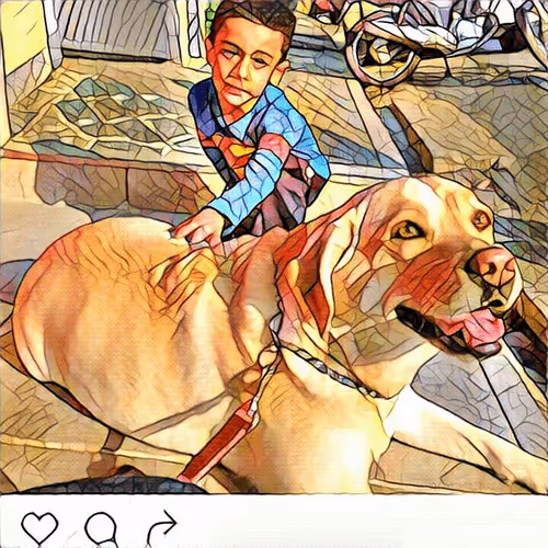 Item #23717691268860390421092059778351423278394515577450135489991204948403925549057 Media