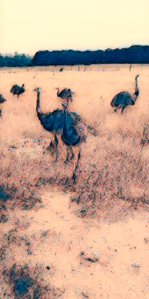 Item #8651498271250357396440676192848533063446167115421124880697921207450822770689 Media