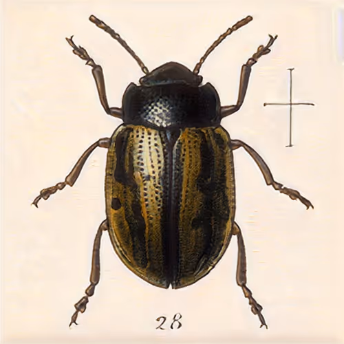 Item #58241160855422744817468407088196322100109565521561100950236904499153064689665 Media