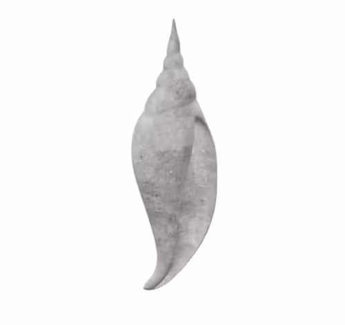 Item #101986064897505636192511017458813156695915810452106734016551982807797689483265 Media