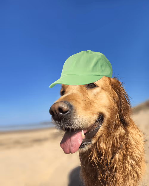 Item #26839399415497039076862880694069072006331525189107682525417321682930017239041 Media