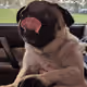 47544226775193296561363797833864959531468120539388845267868880621043827343370