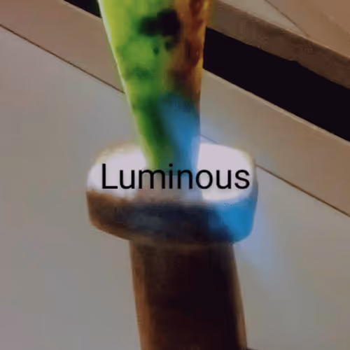 Item #6489009329134783670414987035018759745915184191791848746239254365074744147969 Media