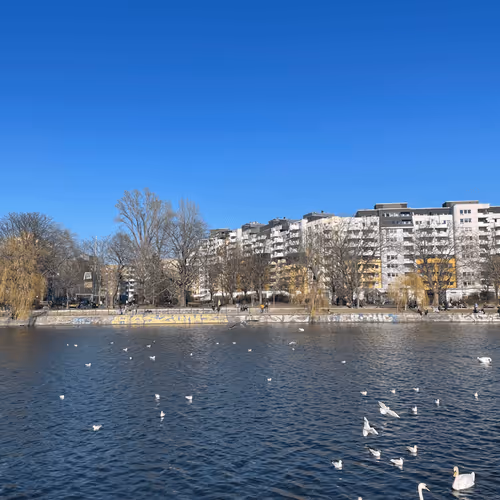 Item #35339417924445304267052449174579644074826086506751043788329225556527476113508 Media