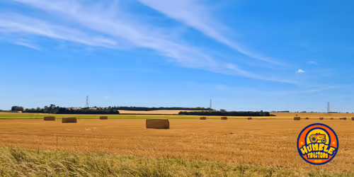 Item #35863194083128256797647772425284652682645032595179500226087347091134084022273 Media