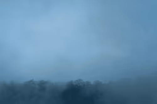 Untitled Collection #68563942 - old