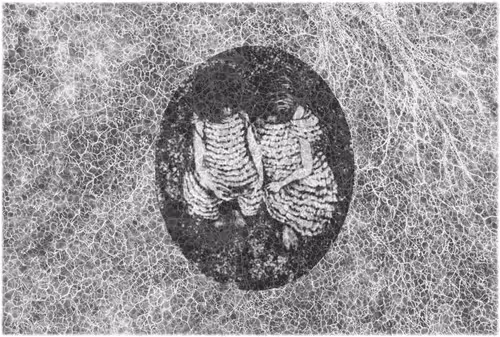 Item #67553364102704910052786438722982539447022718177836165747965600753880861245441 Media