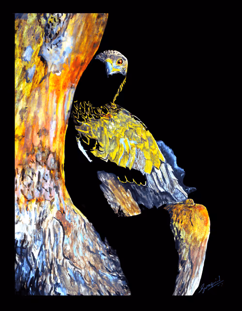 Item #88392049109375850439574262012811564620955616675651121480724544711595388829697 Media