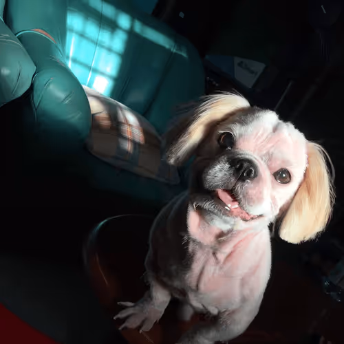 Untitled Collection #177127592