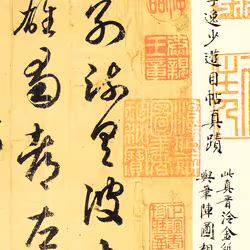 40543915843837935124853576559491614199661915109537099777926115438432954089772