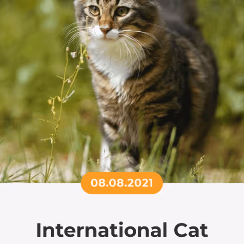 84967509520196306123188380026293221301468344843151761076076916643100209709057