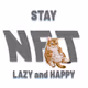 Lazy Happy Cat