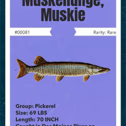 43502264269384842523243150070095810631836830099831581701628991987845315952641