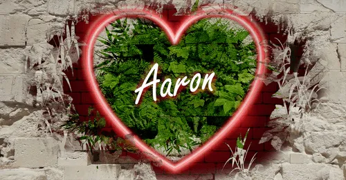 Item #68053287575525751288269231675427811746861684968250582901590729370431788154890 Media