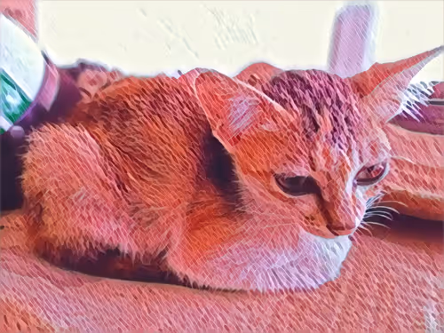 Item #74122138759525378795667626270866148487737655975912799548892275244595985514497 Media