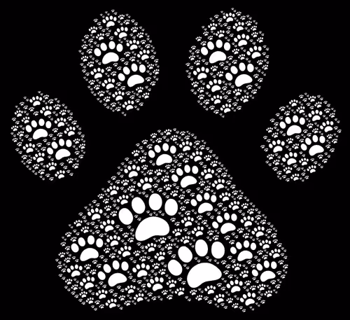 Item #43616077600681943904123954602785482291275391501289858969528179639216179773473 Media