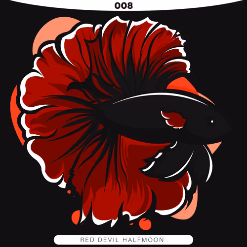 Item #71915282176282174012632358448723633474544225318645324977784202291099671199745 Media