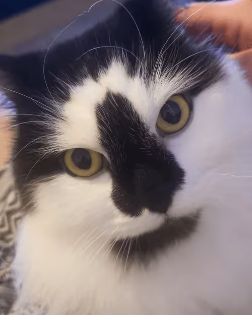 Item #13161020314009032005485822086301964352885579695205061807387255070627024863233 Media