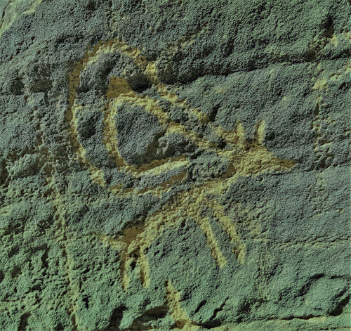 Item #50578502920293870732718629645812667217328975565129030789366414095528878931969 Media