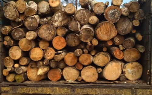 Item #102006201378976520734460731776155729887307616800660626474018585911184477650945 Media