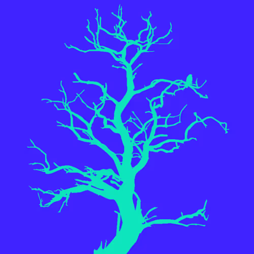 Item #28584310891482146390254294675559111591300807555565075434256981958700337987609 Media