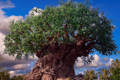 Item #88004996534824683595530724546599971679500479885653343253103225459424349913098 Media