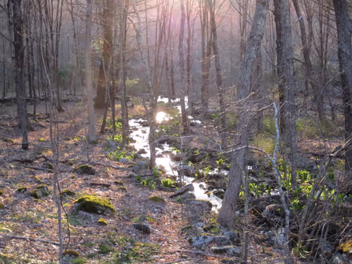 Item #39781805688626842994046507888546694714899270474383352618679520662189137461249 Media