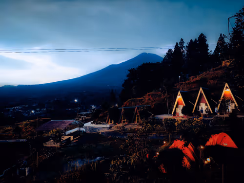 Untitled Collection #2059356025