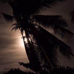 Thailand #15