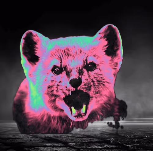 Item #64849469388568567391882735248017375202922545580058110511068989714145002651658 Media